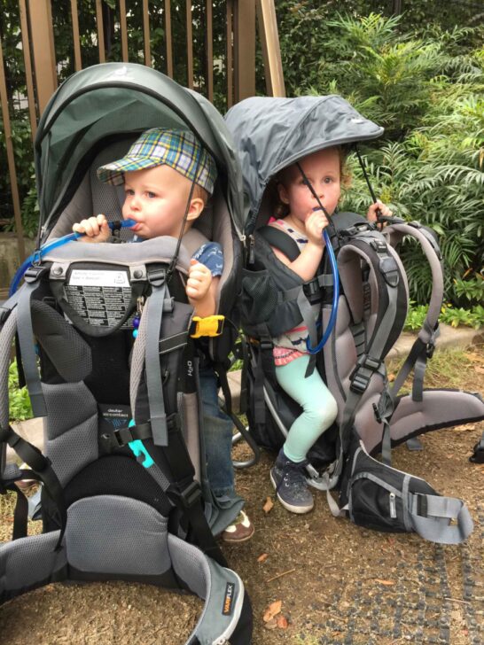 The 8 Best Hiking Backpack Carriers for Toddlers Baby Can Travel