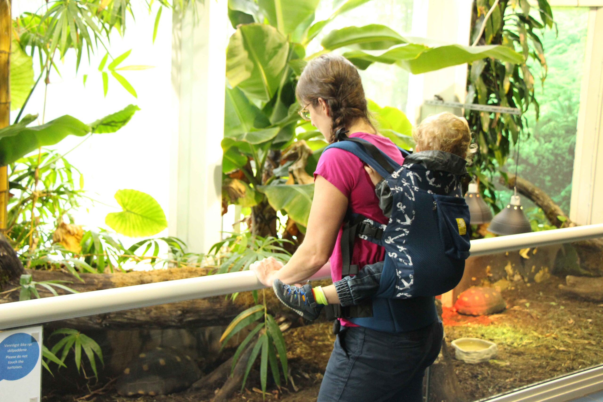 Flying with a Toddler: My BEST Tips for Flying with Toddlers