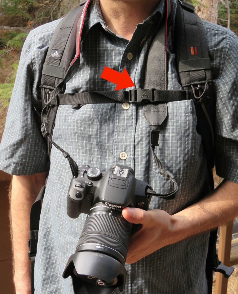 Best Tips to Avoid Pickpockets for Traveling Parents Baby Can Travel