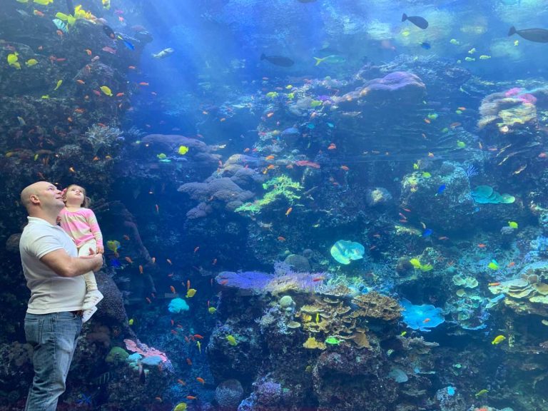 Best Places To Travel With Toddlers Baby Can Travel Best Places To Travel With Toddlers Baby Can Travel