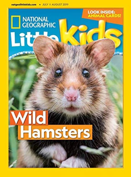 Toddler Flight Vacation Entertainment