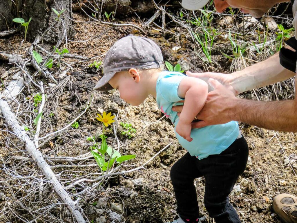 Hiking with Toddlers Baby Can Travel