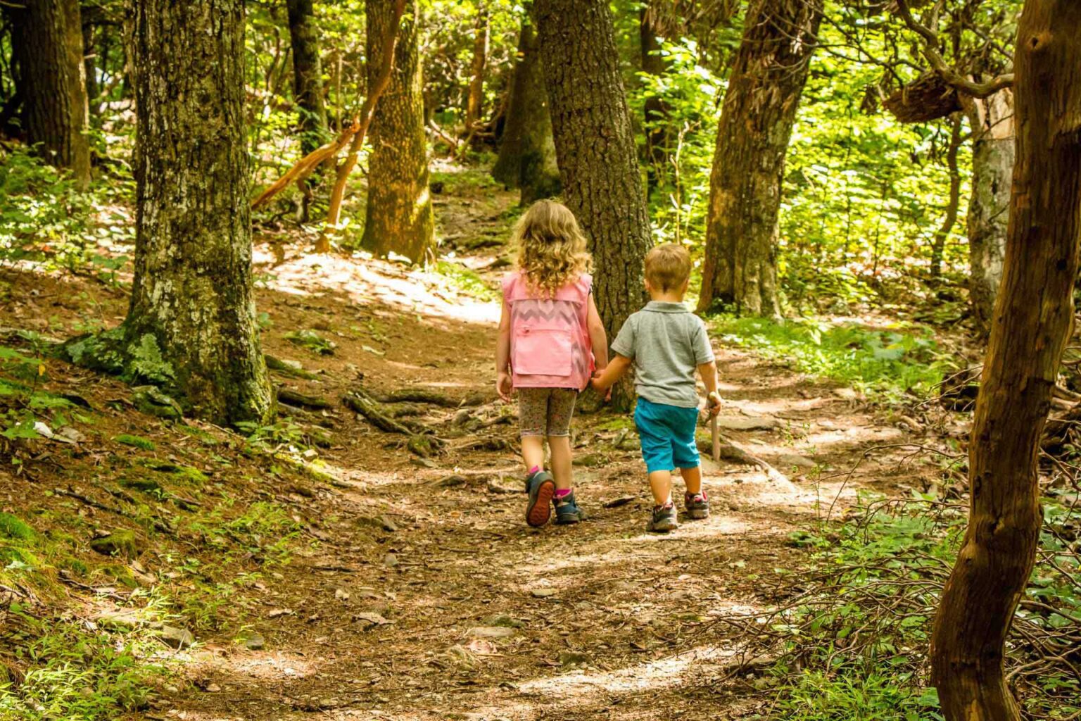 Hiking with Toddlers Baby Can Travel