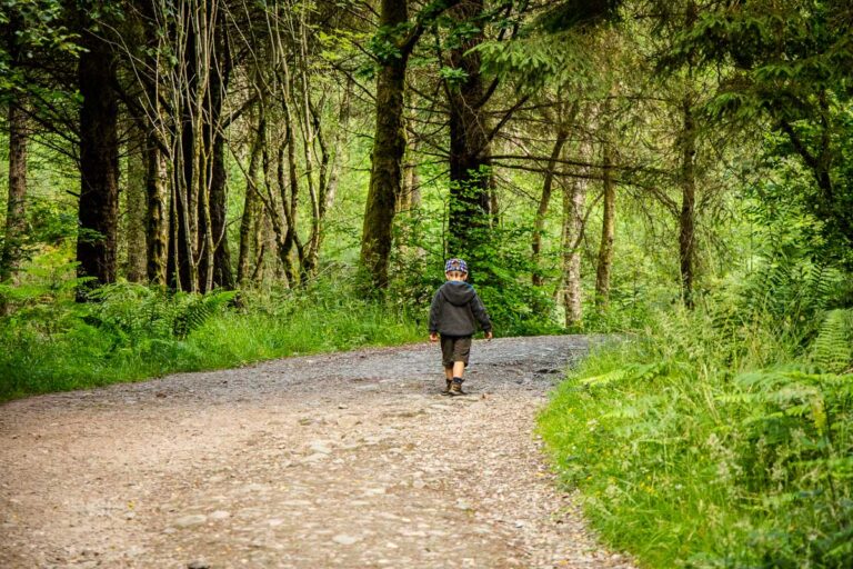 Best Toddler Hiking Gear Baby Can Travel