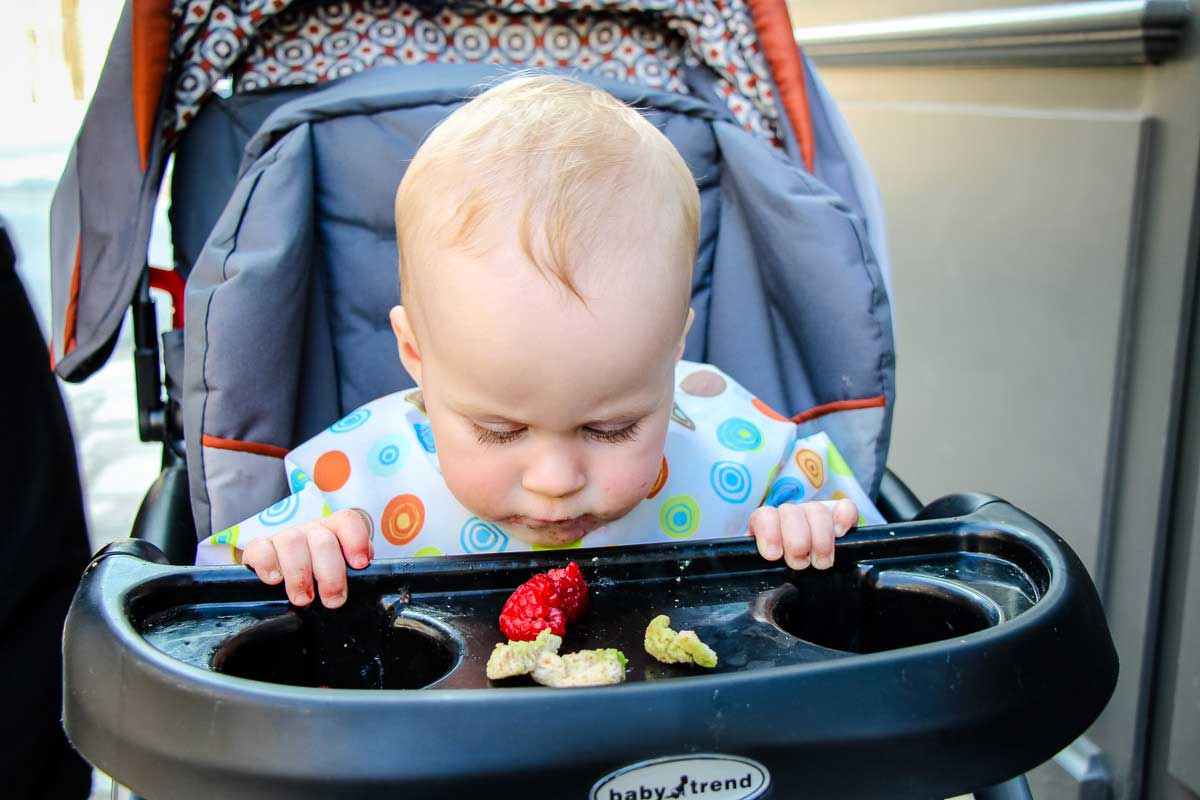 Practical Tips for Managing Baby Food While Traveling Baby Can Travel