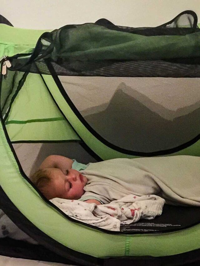 12 Best Travel Beds for Toddlers for 2021 Baby Can Travel