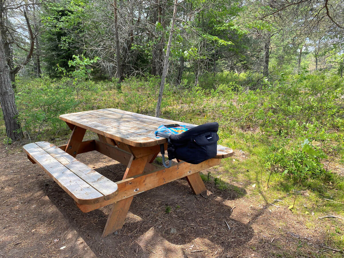 Using Inglesina high chair on picnic table - high chairs that attach to table