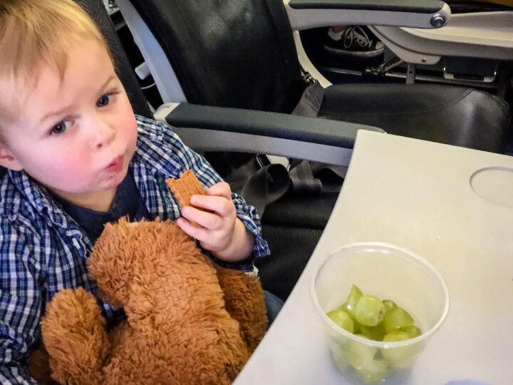 The Best Toddler Travel Snacks That are Easy to Pack! Baby Can Travel