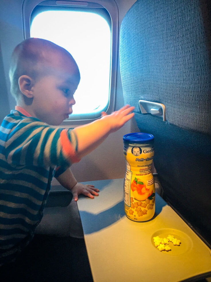 Best Travel Snacks for Toddlers Baby Can Travel