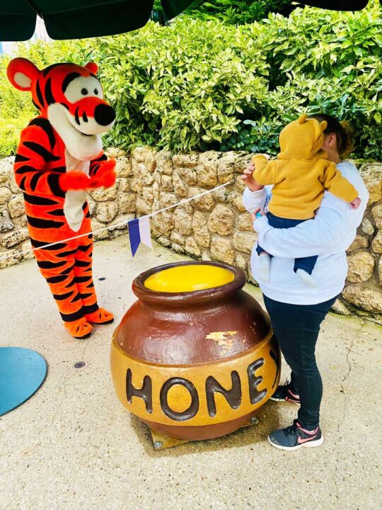 10 Best Tips for Disneyland Paris with a Baby Baby Can Travel