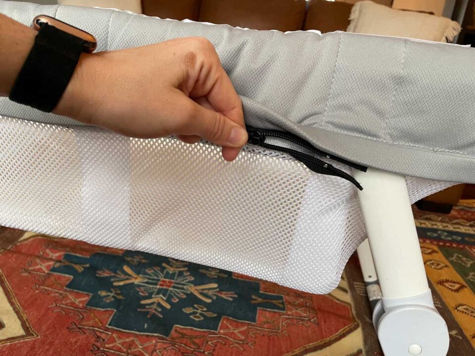 Guava Size at Lakesha Marcos blog