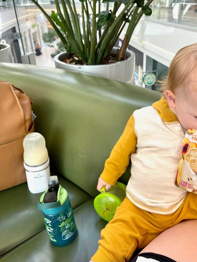 The 7 Best Baby Bottle Warmers for Travel Baby Can Travel